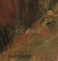 Krizsán J jelzéssel: Táj. Olaj, vászon, dekoratív fakeretben, 41×33 cm