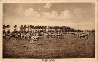 Fadd, gulya, magyar folklór. Vajnár Ferenc kiadása