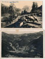 1941 Gyilkostó, Ghilcos, Lacul Rosu; 4 db RÉGI erdélyi fekete-fehér fotó képeslap/ 4 pre-1945 black and white Transylvanian photo postcards