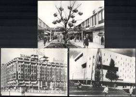 cca 1975-1980 Rotterdam, Hollandia, 6 db sajtófotó, a hátoldalon feliratozva, vegyes állapotban, 18x...