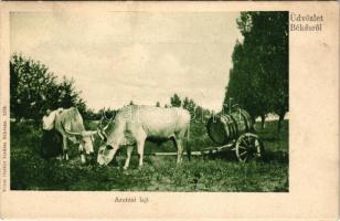 Békés, aratási lajt, magyar folklór. Véver Oszkár kiadása (fl)