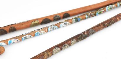 3 darab túrabot, összesen 49 darab címkével