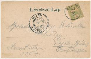 1905 Piski, Simeria; átjáró híd, vasútállomás. Főző József kiadása / railway station, pedestrian cro...