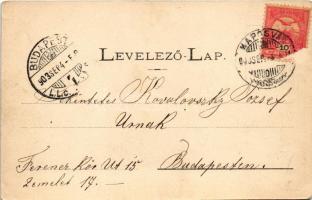 1903 Kaposvár, Városháza. Gerő Zsigmond kiadása (EK)