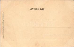 Nagyszeben, Hermannstadt, Sibiu; Saggasse / utca, Hans Müller üzlete. Georg Meyer kiadása / street v...