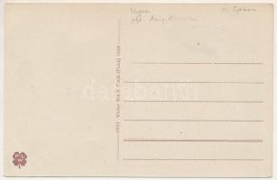 Felek, Freck, Avrig; Erholungsheim, Tannenallee im Parke, Teilansicht vom Parke, Frecker sächs. Baue...