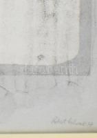 Robert Schwartz (1947 ? 2000): Absztrakt akt. Litográfia, papír. Jelzett, sorszámozott 7/15. Dekorat...