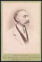 cca 1870 Emil Egon zu Fürstenberg (1825-1899) herceg, a német-osztrák Fürstenberg család königshof hercegi ágának feje, az Aranygyapjas rend lovagja, őrnagy, cs. kir. kamarás, valóságos belső titkos tanácsos. Kabinetfotó Emil Rabending cs. kir. udvari fényképész bécsi műterméből, jó állapotban, 16x11 cm // cca 1870 Emil Egon Prinz zu Fürstenberg (1825-1899), head of the Königshof branch of the German-Austrian princely house of Fürstenberg, knight of the Order of the Golden Fleece, major, chamberlain and privy counselor. Cabinet card from the studio of Emil Rabending in Vienna (Wien), in good condition, 16x11 cm