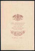 cca 1870 Emil Egon zu Fürstenberg (1825-1899) herceg, a német-osztrák Fürstenberg család königshof h...