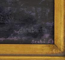 Szabó Ákos (1977-: Napozók, Olaj, farost. Sérüléssel. Jelzett, dekoratív keretben. 30x40 cm