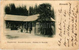 1901 Borszék, Borsec; Kossuth kút / Brunnen / Fintana / mineral water spring (EK)