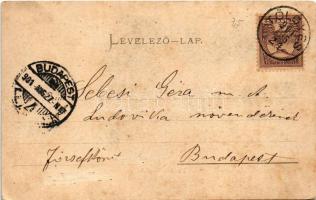 1901 Borszék, Borsec; Kossuth kút / Brunnen / Fintana / mineral water spring (EK)