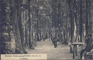 Alváca-gyógyfürdő promenade