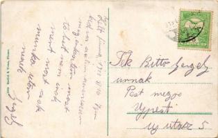 1913 Fiume, Rijeka; R. U. Ginasio, Via della Fiumara, E. Benco Drogheria, Cartoleria Radici & To...