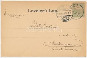 1905 Parajd, Praid; sóbánya, látkép. Stein J. kiadása / salt mine, general view. Art Nouveau, floral...