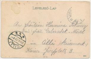 1905 Orsova, Széchenyi út, gyógyszertár / street, pharmacy (EK)