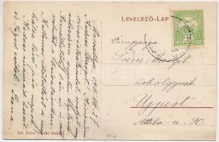 1915 Marosillye, Maros-Illye, Ilia; Fő utca, Központi szálloda. Haber Márton kiadása, Adler felvétel...