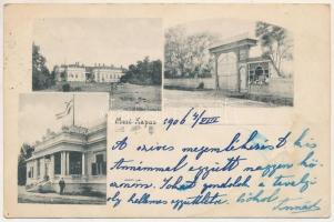 1906 Mezőkapus, Mező-Kapus, Capusu de Campie (Kisikland, Iclanzel); Sándor kúria, kastély, Székelykapu / Székely carved wood gate (Poarta secuiasca), castle (EB)