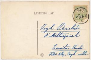 1906 Mezőkapus, Mező-Kapus, Capusu de Campie (Kisikland, Iclanzel); Sándor kúria, kastély, Székelyka...