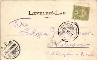 1902 Nagybánya, Baia Mare; Magyar utca. Molnár Mihály kiadása / street view (EK)