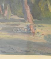 Olvashatatlan jelzéssel (Bala...) : Gázló. Olaj, karton, jelzett, keretben 27x42 cm