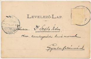 1901 Zsibó, Jibou; Rákóczy és Kossuth utca, Báró Wesselényi kastély, Róth Adolf üzlete. Wertheimer D...