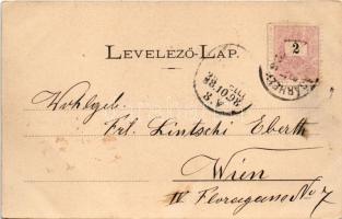 1898 (Vorläufer) Marosvásárhely, Targu Mures; Fő tér, üzletek, piac. Divald / main square, shops, ma...