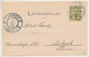 1903 Marosvásárhely, Targu Mures; Fő tér, piac, Petrás Géza, Hary Géza, Szalmásy Gyula, Muntyán Géza...