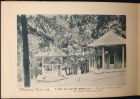 1905 Borszék, leporelló 15 képpel, kiadja: Heiter György fényképész, gerinc sérült, 11,5×16 cm