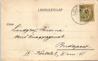 1904 Lozsád, Lozsádkistóti, Jeledinti (Hunyad); Református templom. Pátria kiadása / Calvinist churc...