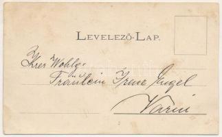 Lugos, Lugoj; Megyeház, Városház / county and town halls. Art Nouveau, floral (vágott / cut)