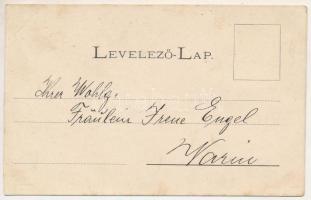 Lugos, Lugoj; Temes part, Főgimnázium / Timis riverside, school. Art Nouveau, floral (vágott / cut)