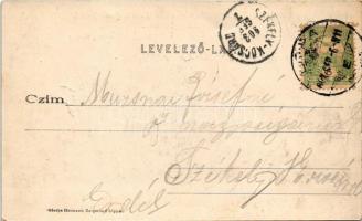 1903 Temesújfalu, Temesvár-Újfalu, Neudorf; Gróf Zselénszky kastély. Őfelsége I. Ferenc József lakás...