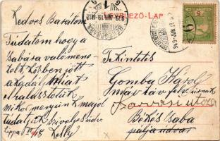 1909 Lippa, Lipova; Női zárda. (W. L. ?) 433. / nunnery (EK)