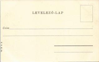 Komárom, Komárno; Vársor. E.D.K. 64. / street view