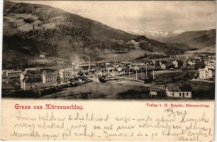 1901 Mürzzuschlag (Steiermark), general view. Verlag v. M. Riegler (EK)