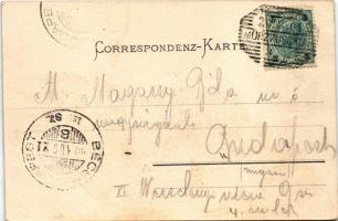 1901 Mürzzuschlag (Steiermark), general view. Verlag v. M. Riegler (EK)