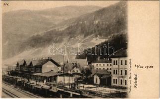 Selzthal (Steiermark), Bahnhof / railway station