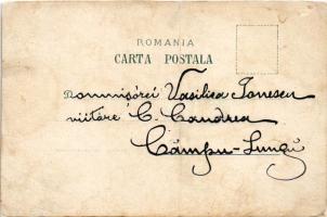 1896 (Vorläufer) Ramnicu Valcea, Govora, Calimanesci, Ocnele mari. O. Thüringer Art Nouveau, floral,...