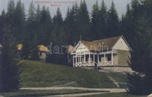 Biharfüred Kaczvinszky resort Mária house