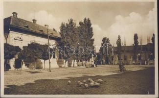 Érmihályfalva town hall and post office photo