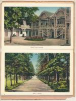 Félix-fürdő, Baile Felix; nem képeslapos leporello 10 lappal / non-postcard leporello with 10 cards