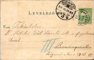 1908 Marilla, Marillavölgy, Marila; Gyógyintézet. Gross Gyula kiadása / spa (szakadás / tear)