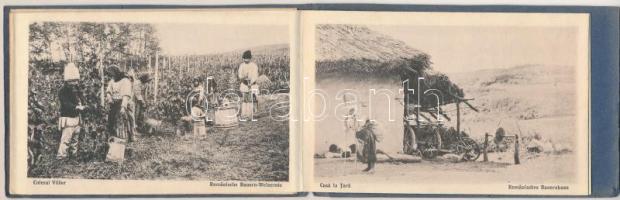 Album mit Volkstrachten aus Rumänien. Depozitul J. Saraga &amp; Schwartz - Román képeslap füzet ...