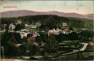 1909 Borszék, Borsec; látkép, nyaralók. Divald Károly műintézete 1946-1908. / general view, villas (fl)