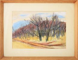 Felsmann Tamás (1956-): Erdőrészlet. Pasztell, papír, jelzett, üvegezett keretben. 30x40 cm Képcsarn...