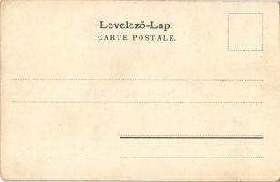 Tátra, Magas-Tátra, Vysoké Tatry; Fátyolvízesés a Csorba-tónál. Cattarino Sándor kiadása / Schleuer ...