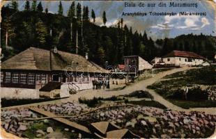 Tótosbánya, Totos (Budfalva, Budesti, Máramaros); aranybánya. Berger Miksa utóda kiadása / gold mine (EK)