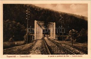 Tusnádfürdő, Baile Tusnad; O parte a podului de fier / vashíd részlet, vasúti híd. Andrásofszky bazár kiadása / railway bridge