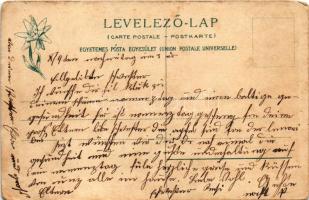 Felsőhági, Visne Hagy, Vysné Hágy (Magas-Tátra, Vysoké Tatry); Hohenlohe herceg vadászlakja. Feitzin...